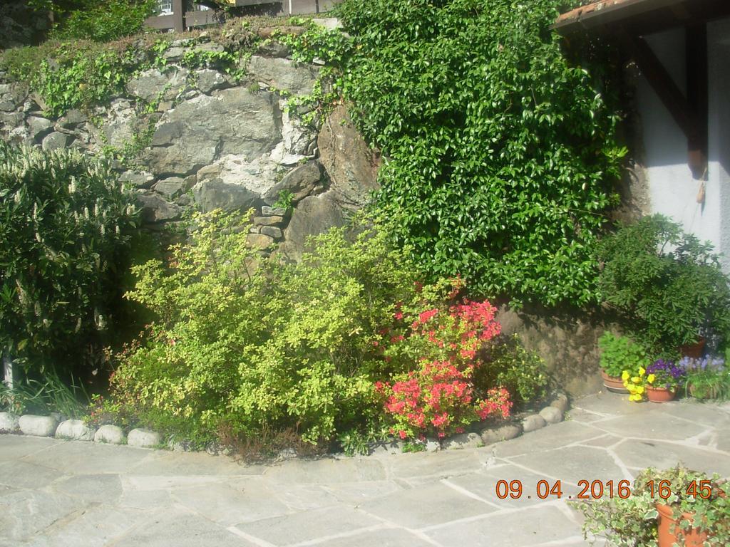 B&B I Pioppi Chiavenna Bagian luar foto